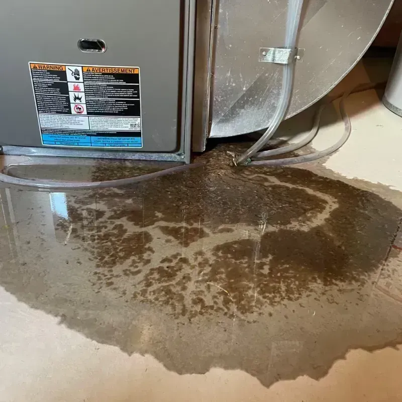 Appliance Leak Cleanup in Crystal, MN